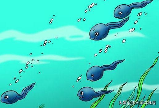 蝌蚪最新视频,蝌蚪最新视频揭秘神秘生物世界