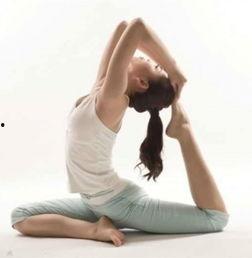 初学瑜伽视频教程