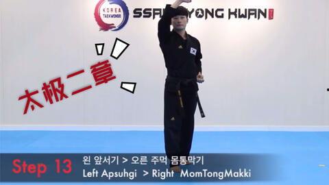 跆拳道太极二章视频教学,跆拳道精髓的初探之旅