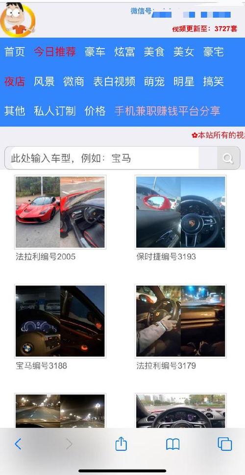 成年网站看视频