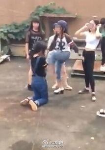 女生打群架视频,女生群架视频引发热议