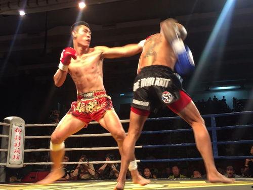 近期武林风视频直播,精彩对决，热血沸腾的武术盛宴