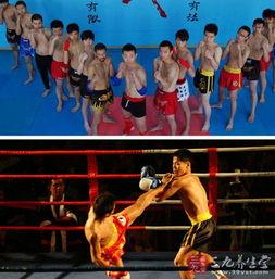 散打基本功视频教程,从基础到实战的全面解析