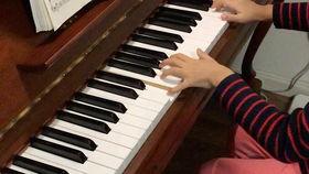 鳟鱼钢琴视频,鳟鱼钢琴曲演绎自然之美