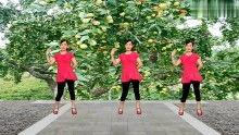 广场舞红枣树视频,舞动健康，乐享生活