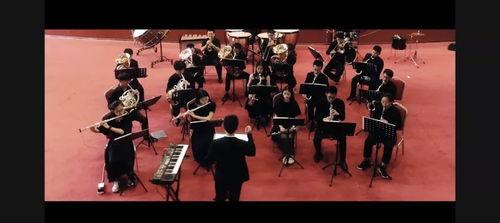 管乐队演奏视频,视频中的管乐队演奏精彩瞬间回顾