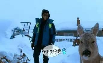 傻狍子视频,萌态百出，笑料连连