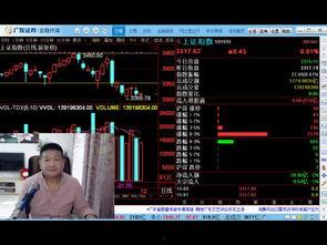股票直播视频,实时解析市场动态，捕捉投资机遇