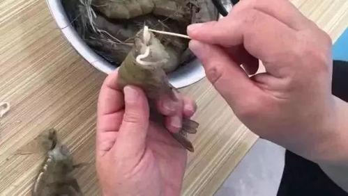 虾里面有虫子的视频,视频揭示海鲜食品安全问题